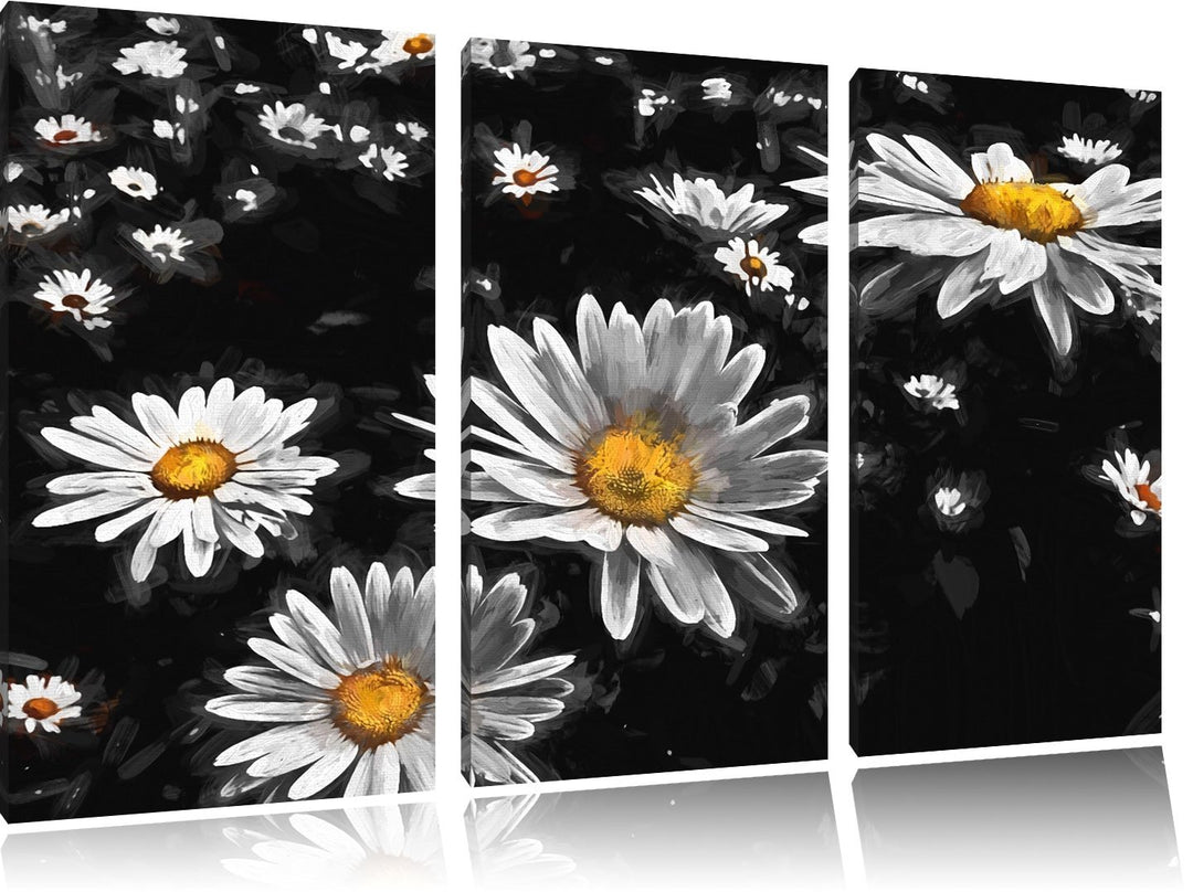 Dark viele kleine Margariten schwarz/weiss Deluxe 3-Teiler Leinwandbild 120x80 Bild auf Leinwand, XX