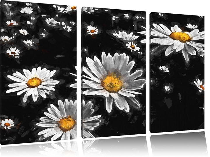Dark viele kleine Margariten schwarz/weiss Deluxe 3-Teiler Leinwandbild 120x80 Bild auf Leinwand, XX