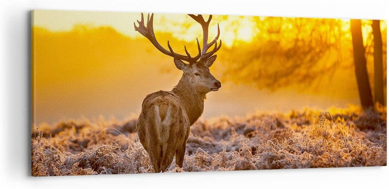 Wandbilder Dekoration Wohnzimmer Herbst landschaft natur blatt Panorama Bilder auf Leinwand 120x50cm