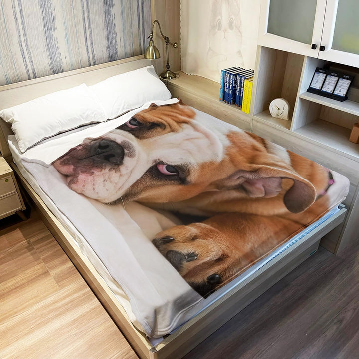 YISUMEI Decke 150x200 cm Kuscheldecken Sanft Flanell Weich Fleecedecke Bettüberwurf Englische Bulldo