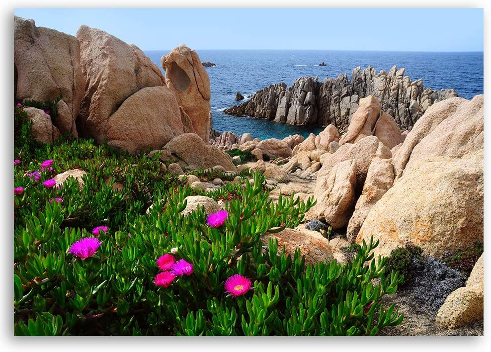 Wanddeko Landschaft Kunst modern Bilder Blumen Beige 100x70 cm