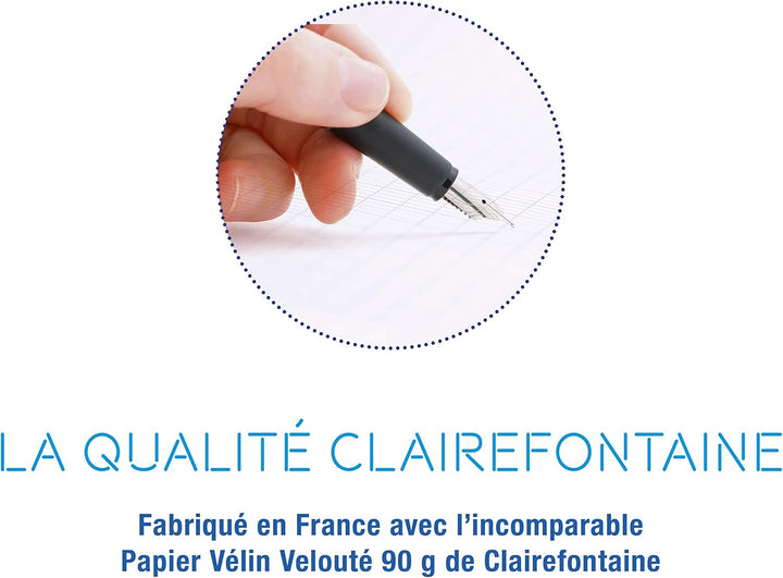 Clairefontaine 303361C - Packung mit 10 Heften Mimesys, DIN A4+, 24x32 cm, 48 Blatt 90g, französisch