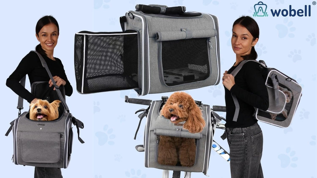 Transportrucksack 4in1 für Tiere bis 5,5 kg, 34x36x26 cm, mit Matte und Bürste, grau