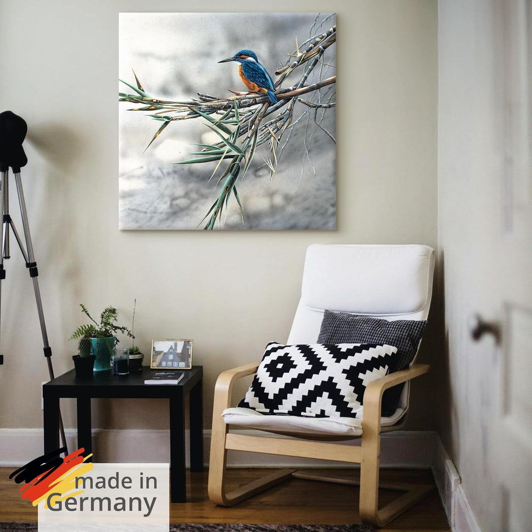 ARTland Leinwandbilder Wandbild Bild auf Leinwand 50x50 cm Wanddeko Eisvogel Tiere Vögel Natur Lands