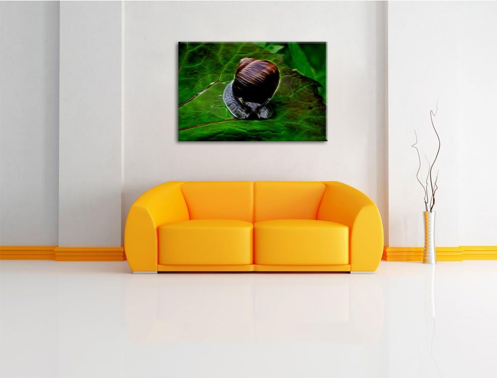 kleine Schnecke mit Schneckenhaus Deluxe Format: 100x70 cm auf Leinwand, XXL riesige Bilder fertig g