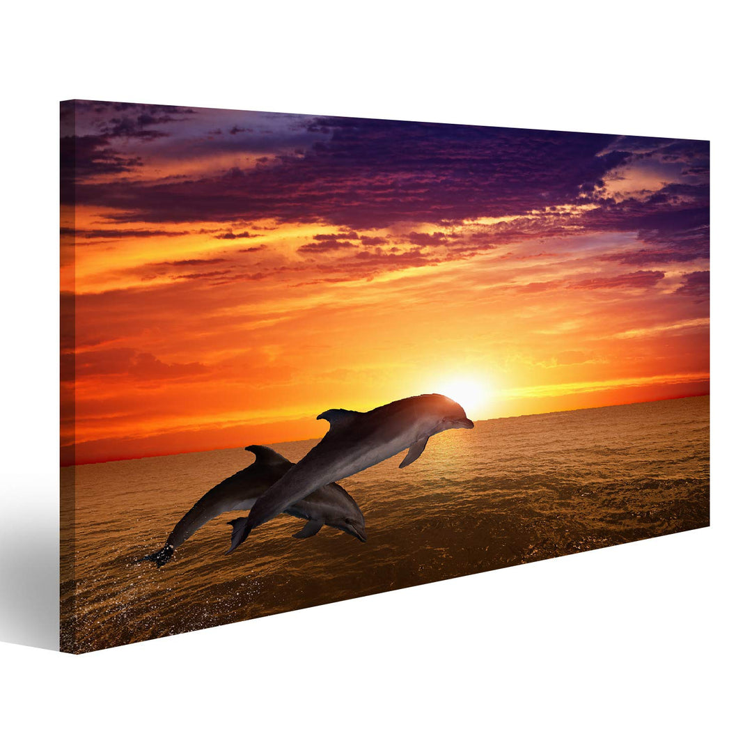 islandburner Bild auf Leinwand Delfin Springende Delfine Schöner Roter Sonnenuntergang Am Meer Bilde
