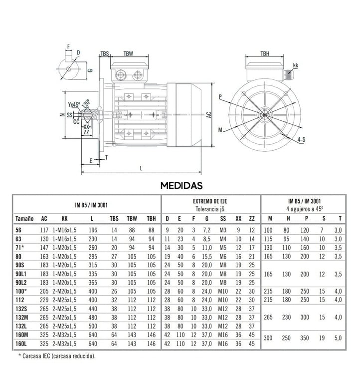 Dreiphasiger Motor, 230/400 V, 0,25 kW/0,33 PS (374 U/min)