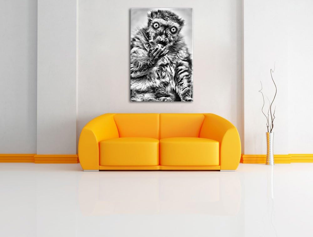 Pixxprint Blauaugenmaki / 100x70cm Leinwandbild bespannt auf Holzrahmen/Wandbild Kunstdruck Dekorati