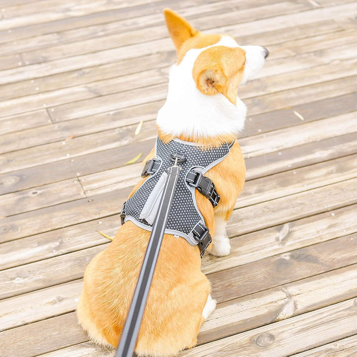 BELPRO Mehrzweck-Hundegeschirr, ausbruchsicher, kein Ziehen, reflektierend, verstellbare Weste mit s