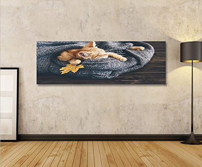 islandburner Bild Bilder auf Leinwand Katze mit Decke gemütlich Panorama XXL Poster Leinwandbild Wan