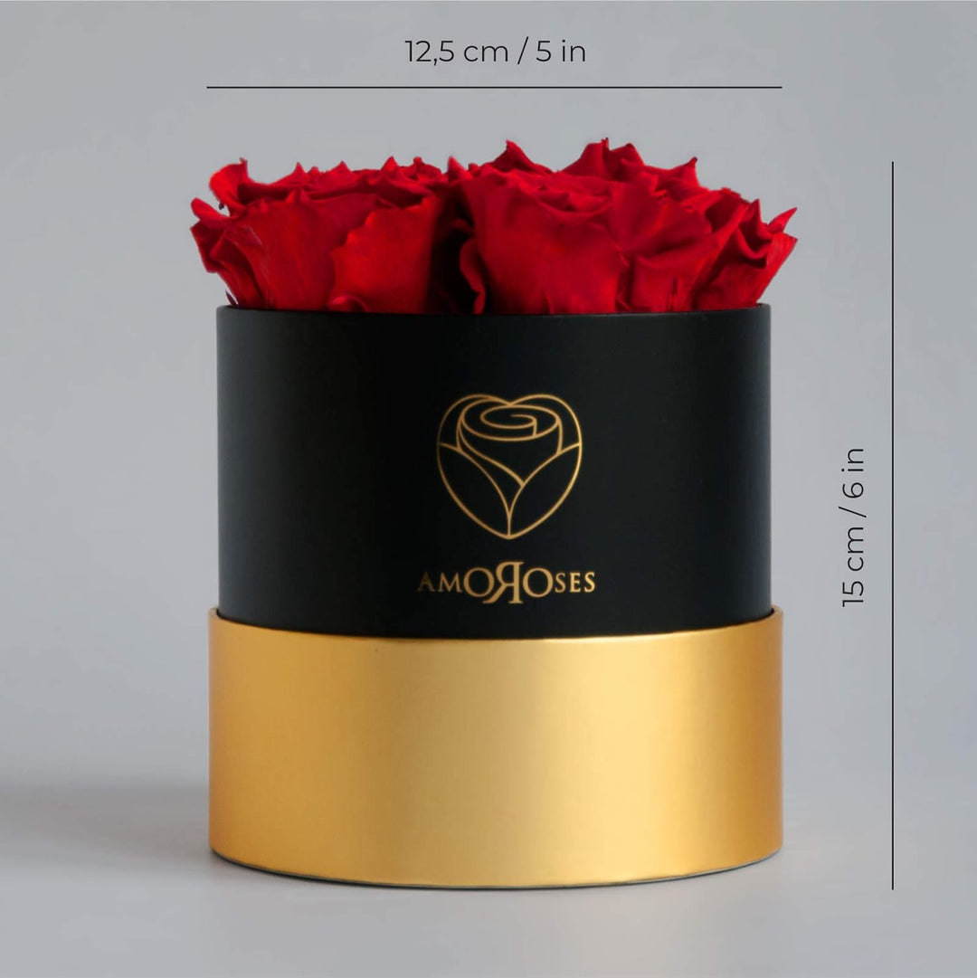 Amoroses Petite - Geschenkbox 5 ewige stabilisierte Rosen - Eleganter Strauss echter Blumen | Gesche