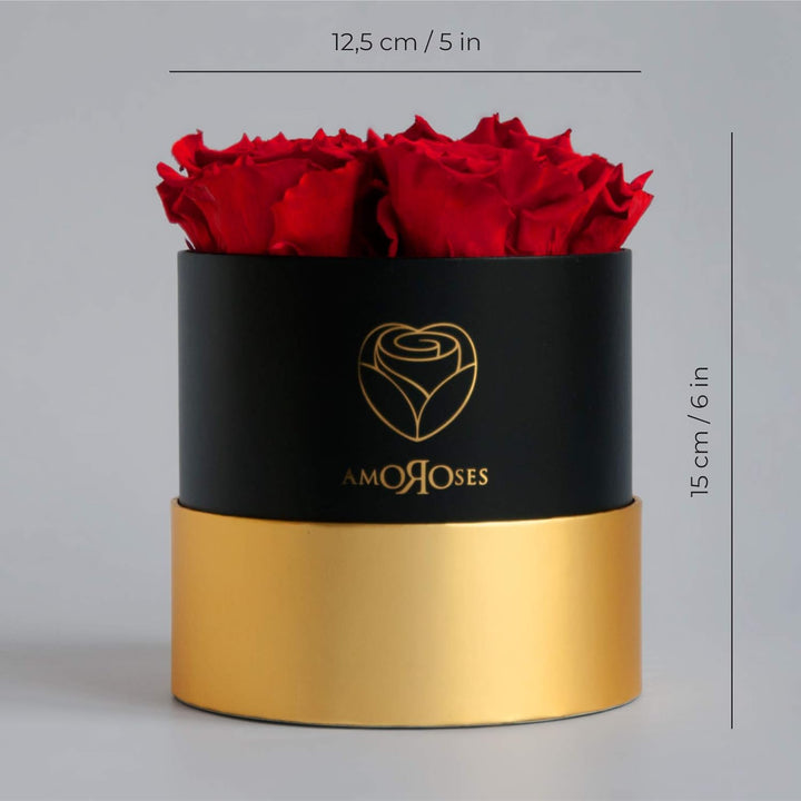Amoroses Petite - Geschenkbox 5 ewige stabilisierte Rosen - Eleganter Strauss echter Blumen | Gesche