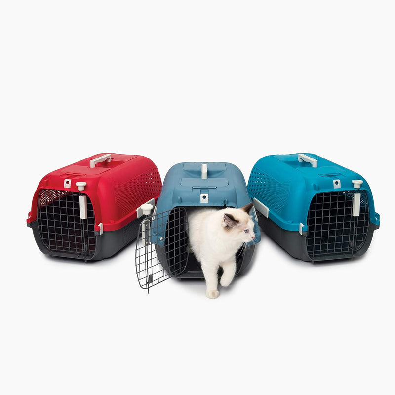 Transportbox für Katzen, Mittel, Blaugrau