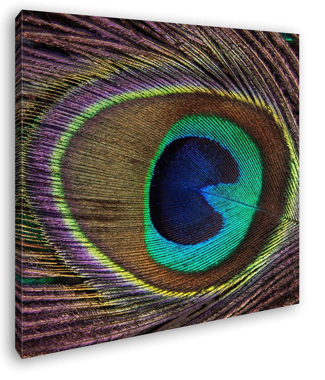 deyoli Bezaubernde Pfauenfeder mit Muster im Format: 70x70 als Leinwandbild, Motiv fertig gerahmt au