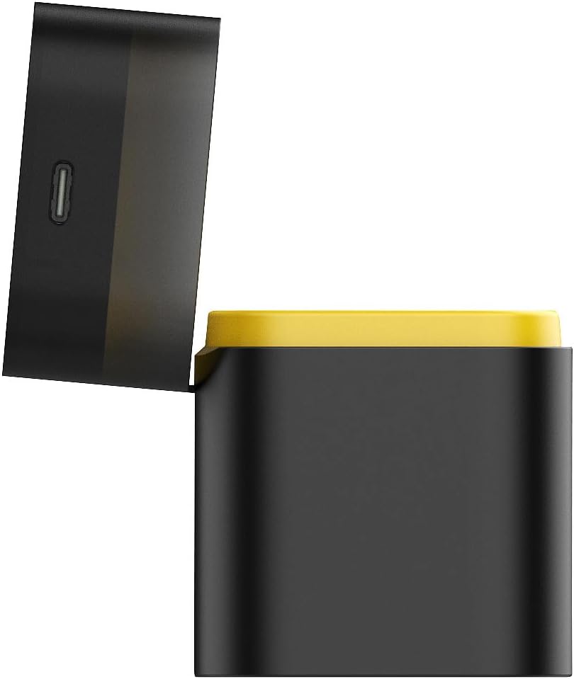 tka Köbele Akkutechnik Li Ion Ladegerät: 8er-Set Li-Ion-Akkus Typ AAA, mit USB-C-Ladebox, 1300 mWh,