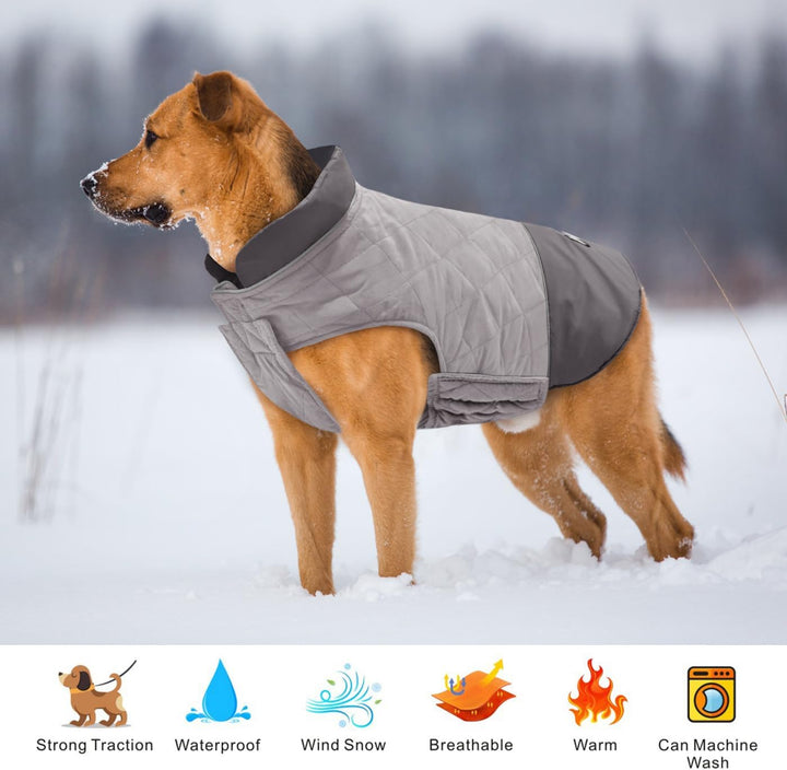 Idepet Winddichter Hundemantel Winter Warme Jacke,Anti-Schneeanzug Hundebekleidung für kleine mittel
