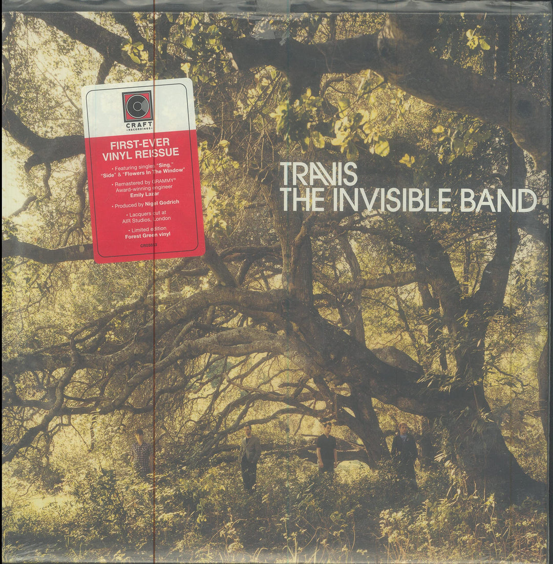 The Invisible Band (Ltd.Green, Vinyl