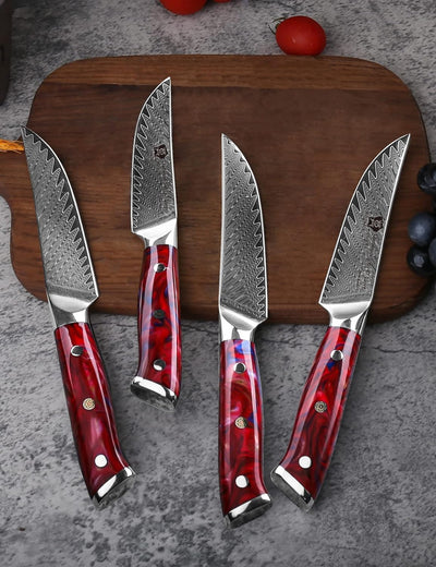 WILDMOK Steakmesser-Set mit 4 Damaststahl-Steakmessern 12,7cm, ultrascharf, gezahntes Steakmesser-Se