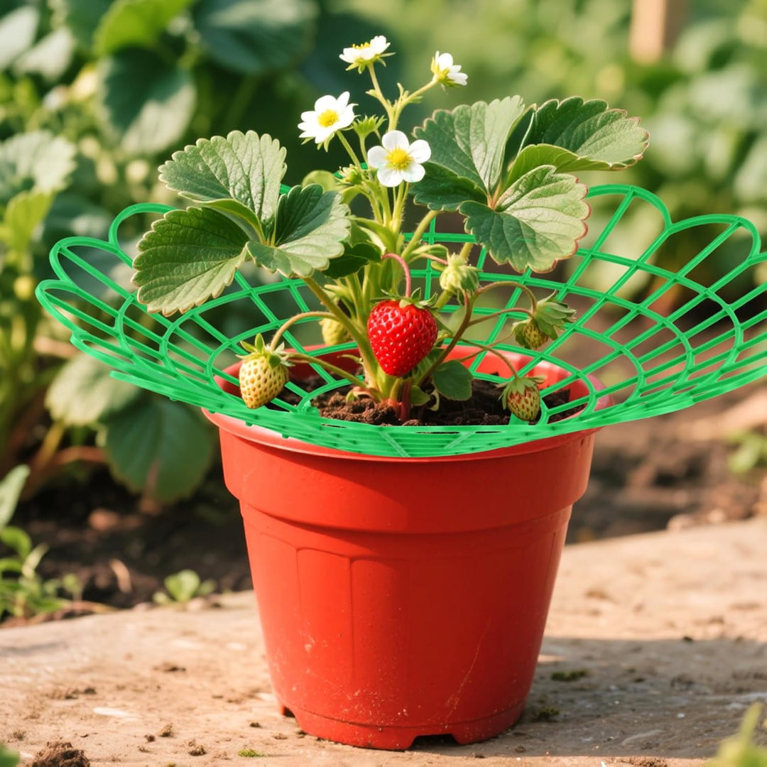 25 Stück 29 x 4,2cm Grün Erdbeerreifer, Erdbeerstützen Ständer, Schneckenschutz Erdbeeren für Erdbee