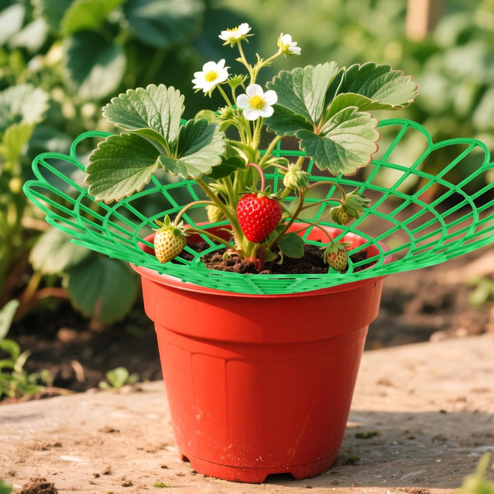 25 Stück 29 x 4,2cm Grün Erdbeerreifer, Erdbeerstützen Ständer, Schneckenschutz Erdbeeren für Erdbee