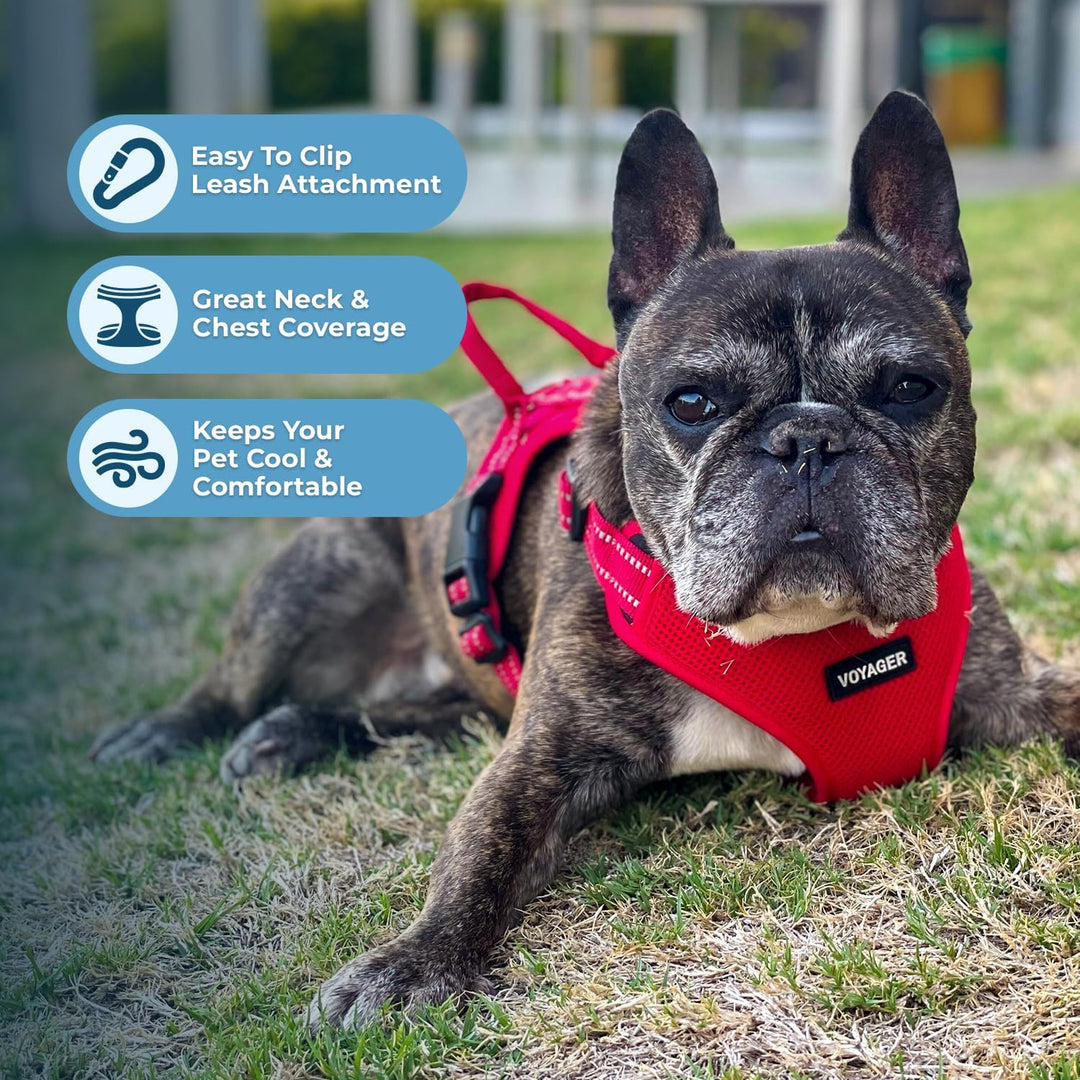 Voyager Verstellbares Hundegeschirr mit Reflektorstreifen by Best Pet Supplies - Strapazierfähige Ga