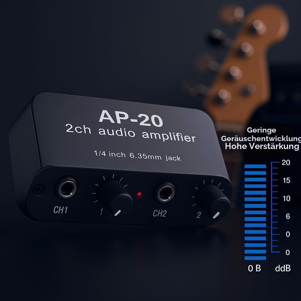 Professional Doppelk-Soundverstärker, Eingang von 20 dB Eingang von 20 dB mit variabler Leistung DC