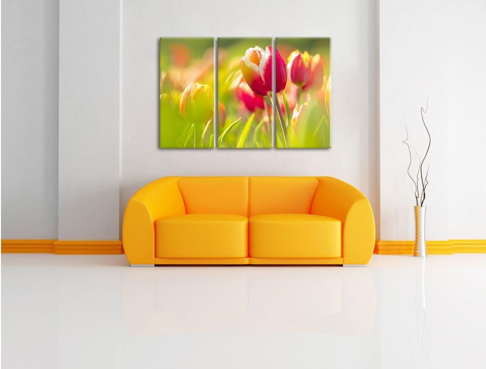Pixxprint Blühende rote Tulpen als Leinwandbild/Grösse: 3 Teilig (120x80) / Wandbild/Kunstdruck/fert