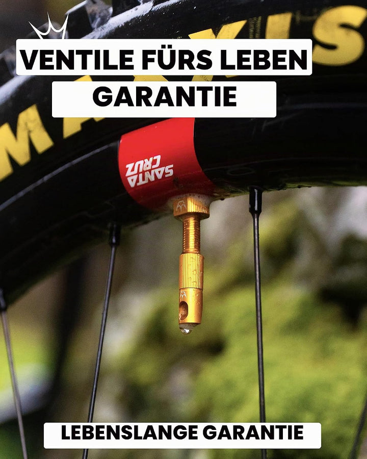 Peaty's XChris King (MK2) schlauchlose Ventile - Fahrradreifenventile 42mm gold, 42mm gold
