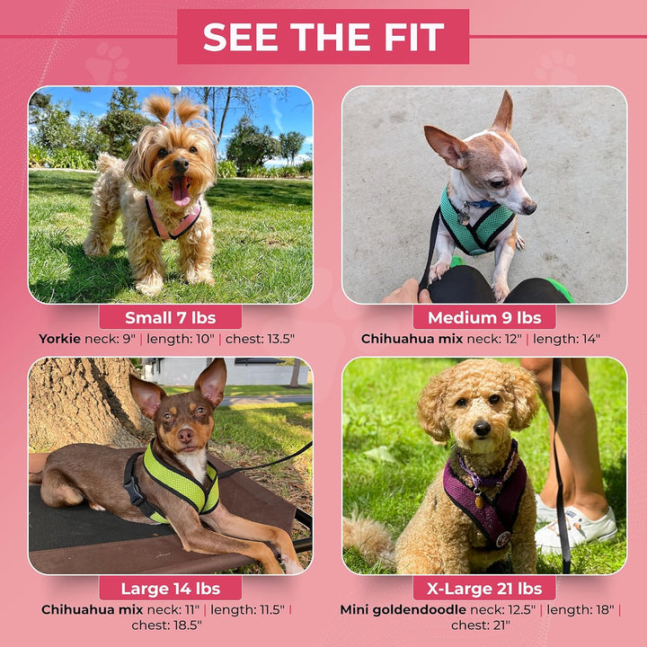 Gooby Comfort X Head in Harness,No Pull Small Dog Harness Patentierter Würgefreier X Rahmen,Unterweg