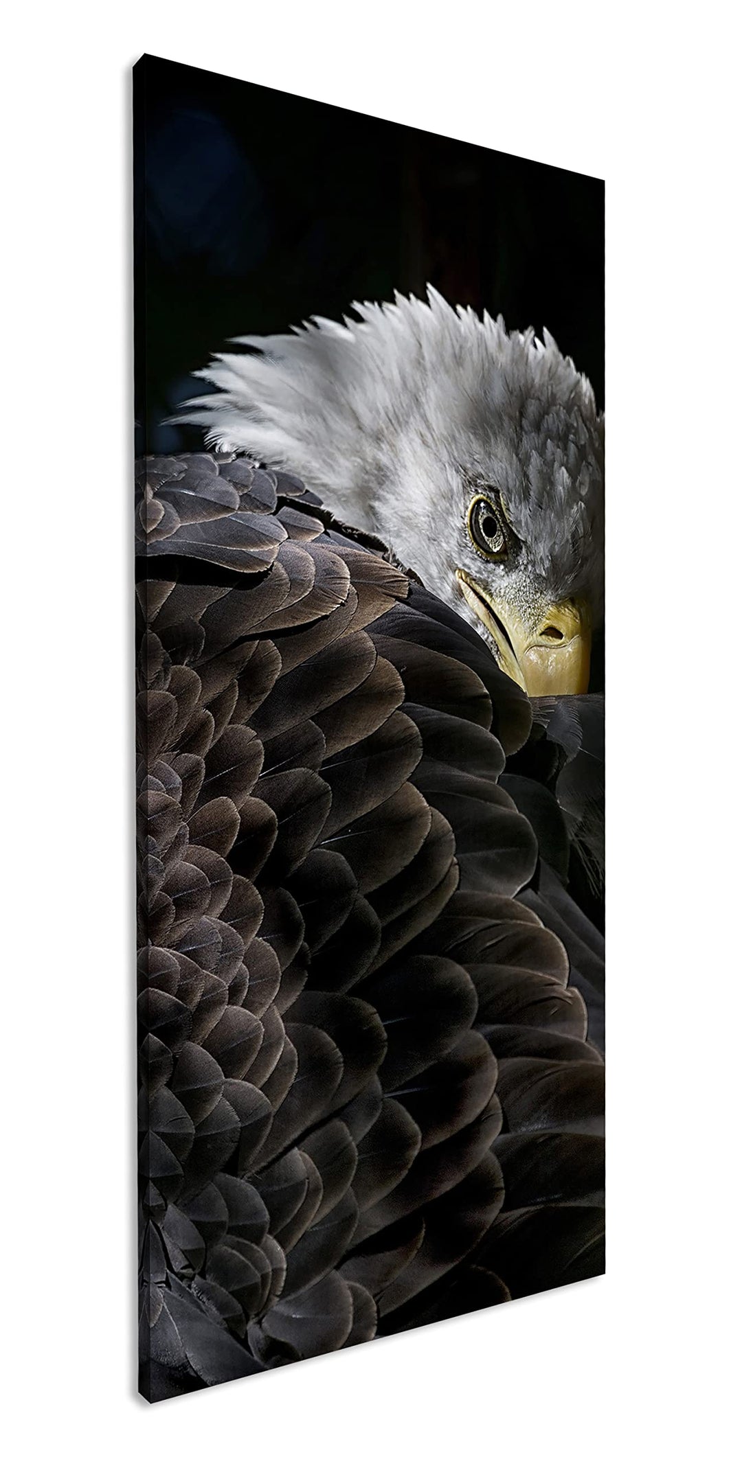 deyoli listiger Adler Panorama 60x30 cm als Leinwandbild, Motiv fertig gerahmt auf Echtholzrahmen, H
