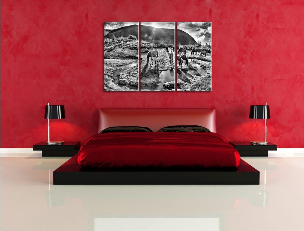 Pixxprint Pferde auf Wiese als Leinwandbild/Grösse: 3 Teilig (120x80) cm/Wandbild/Kunstdruck/fertig