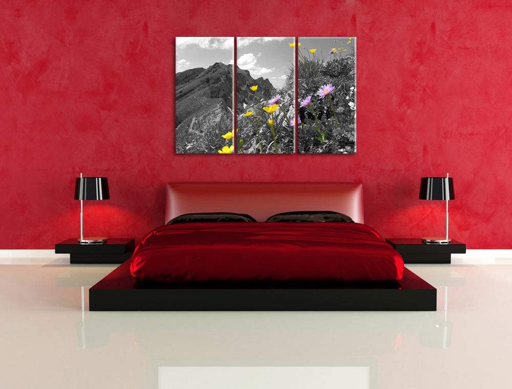 Traumhafte Blumenwiese im Frühling schwarz/weiss 3-Teiler Leinwandbild 120x80 Bild auf Leinwand, XXL