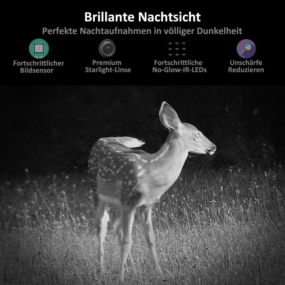 GardePro A3S Wildkamera mit 32GB SD-Karte, 64MP 1296P H.264 Video Wildtierkamera mit Klarer 30m No G