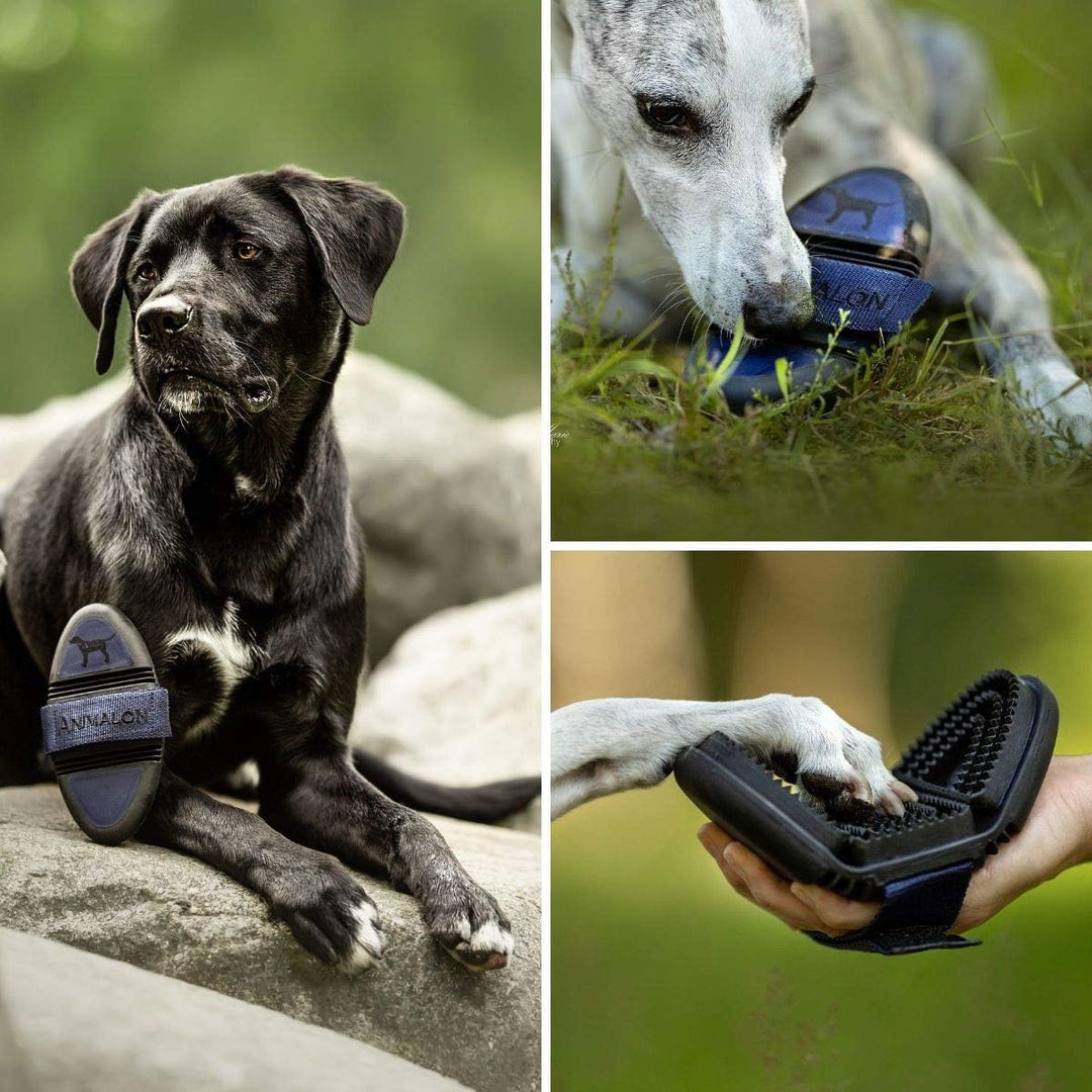 Animalon Kurzhaar-Striegel für Hunde| Fellwechsel-Helfer beim Hund | Striegel für Hunde mit Kurzhaar