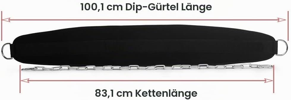 HemeraPhit Gewichtete Klimmzug Dips Gürtel Kette Doppel D Ring Gewichtheben Rückengurte Home Gym Zub