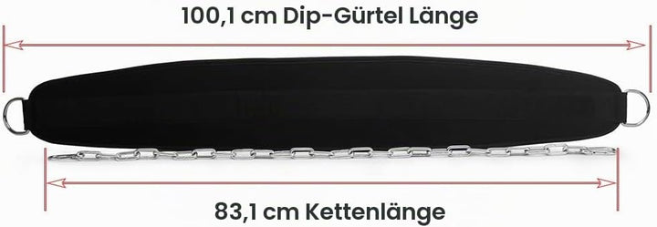 HemeraPhit Gewichtete Klimmzug Dips Gürtel Kette Doppel D Ring Gewichtheben Rückengurte Home Gym Zub