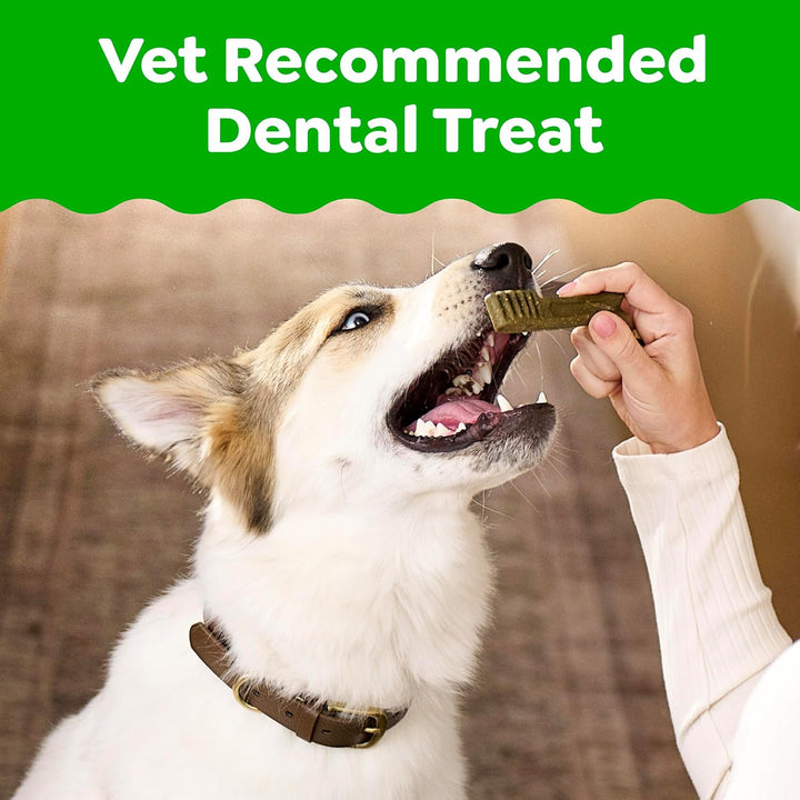 Greenies Original Dental Hund behandelt, 17 Stück, 17 Stück