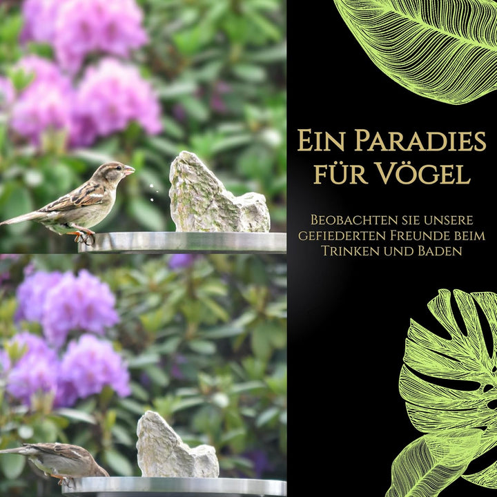 Vogeltränke stehend aus Edelstahl - Vogeltränke Winterfest - Vogelbad Garten stehend, Wassertränke f