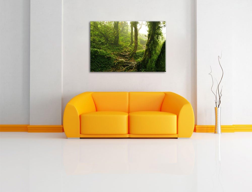 Unberührter Regenwald, Format: 100x70 auf Leinwand, XXL riesige Bilder fertig gerahmt mit Keilrahmen