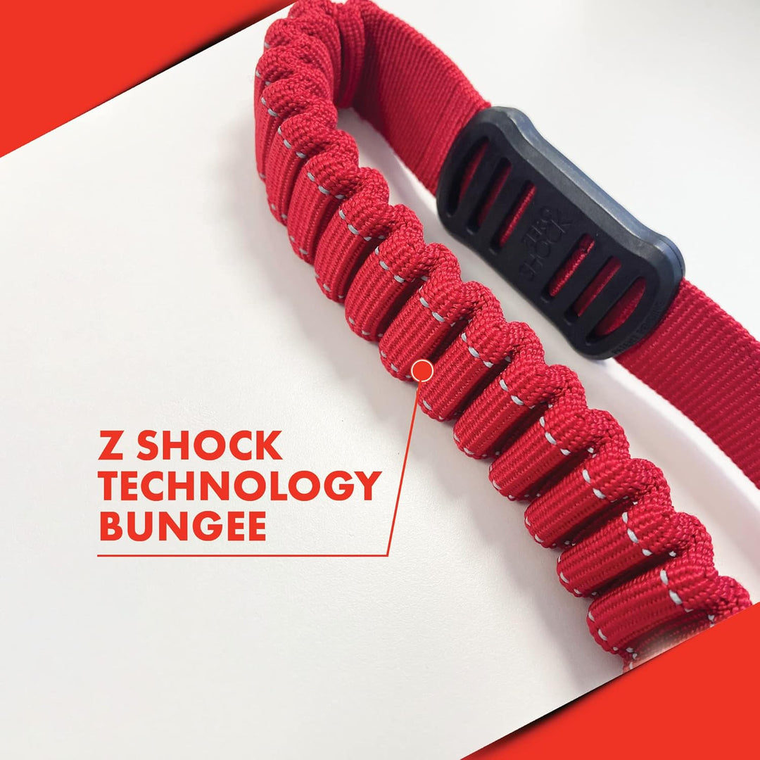 EzyDog Elastische Hundeleine für grosse und mittelgrosse Hunde - Elastische Leine mit elastischem Dä