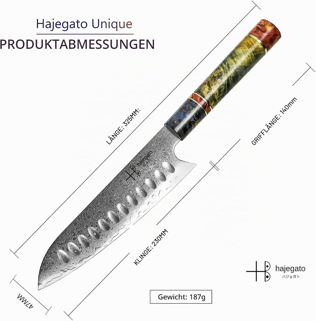 Hajegato Damastmesser - Einzigartiges Griff Kochmesser Profi Japanisches VG10 - 67 Schichten Damasts