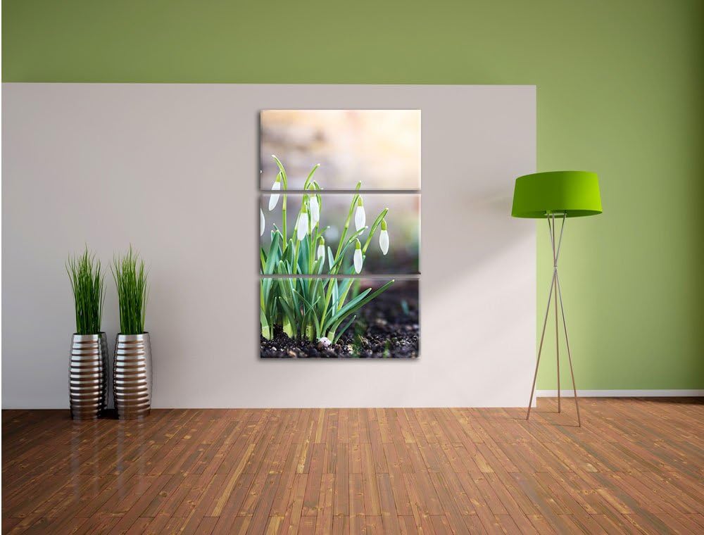 Pixxprint Schneeglöckchen am Waldrand als Leinwandbild/Grösse: 3 Teilig (120x80 cm) cm/Wandbild/Kuns