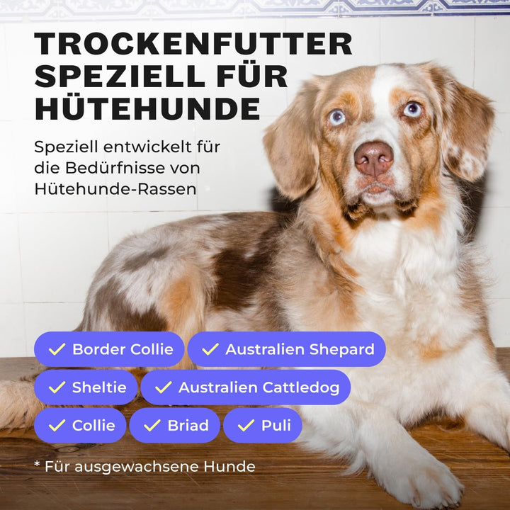 HEY HOLY – Happy Herders Trockenfutter – Premium Trockenfutter für ausgewachsene Hunde mit 40% Huhn