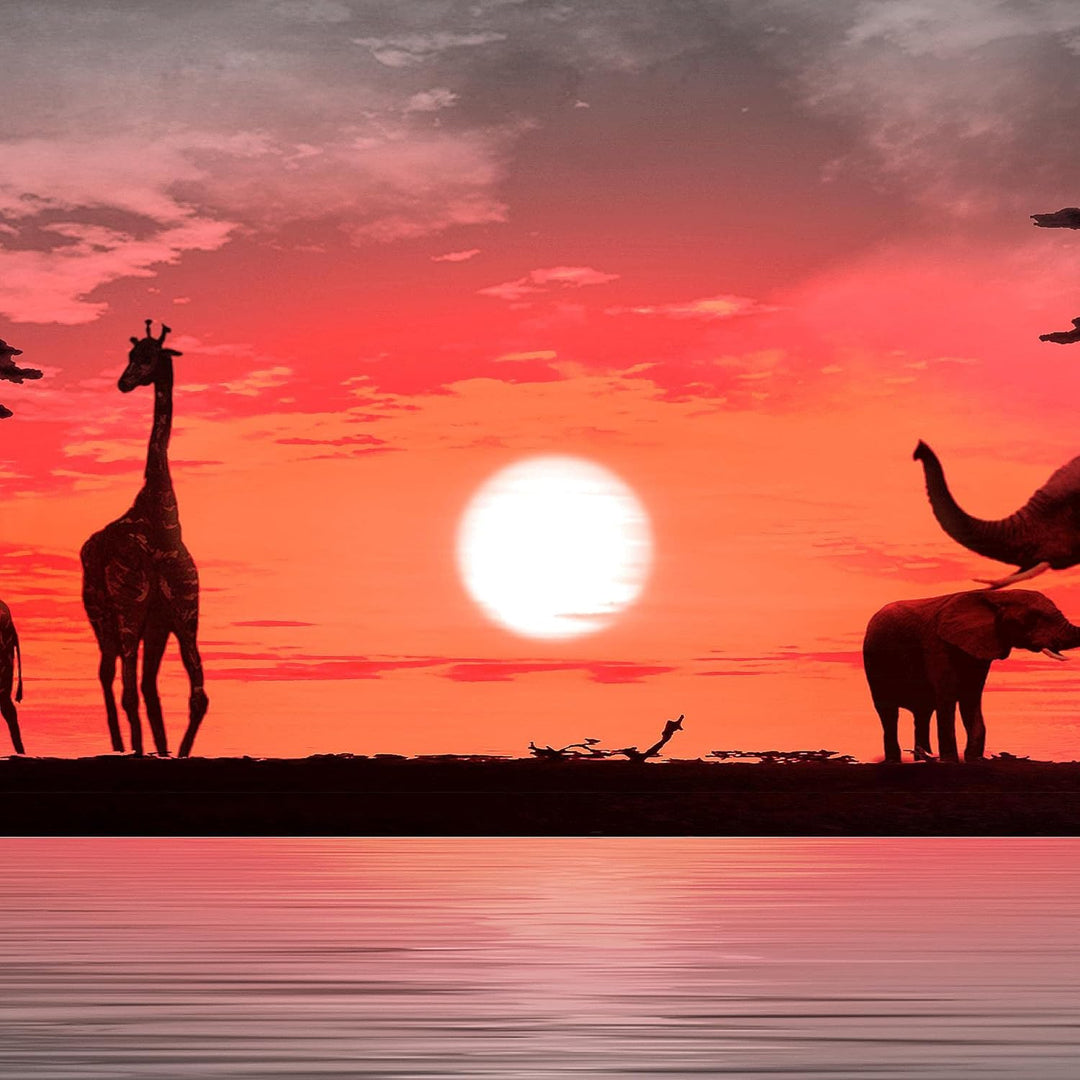 Runa Art Bild Wohnzimmer Schlafzimmer Afrika Sonnenuntergang 5 Teilig Giraffe Elefant Orange Wandbil