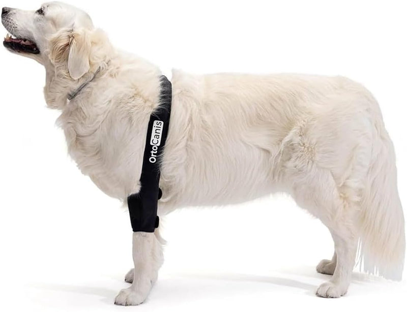 Ortocanis - Ellbogenbandage für Hunde mit Arthrose, Verletzungen, Hygromen oder Bursitis, Grösse M,