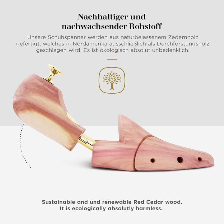 Schlesinger - TESTSIEGER - Premium Herren Schuhspanner aus edlem Zedernholz für eine optimale Schuhp