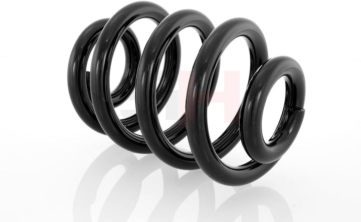 GH - GH-224724 1x Feder Hinten Rechts=Links
