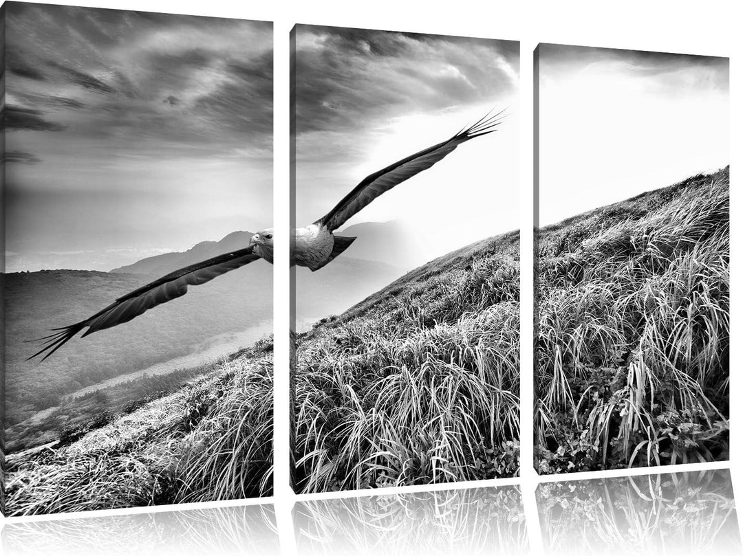 Pixxprint Majestätischer Weisskopfseeadler als Leinwandbild/Grösse: 3 Teilig (120x80) cm/Wandbild/Ku