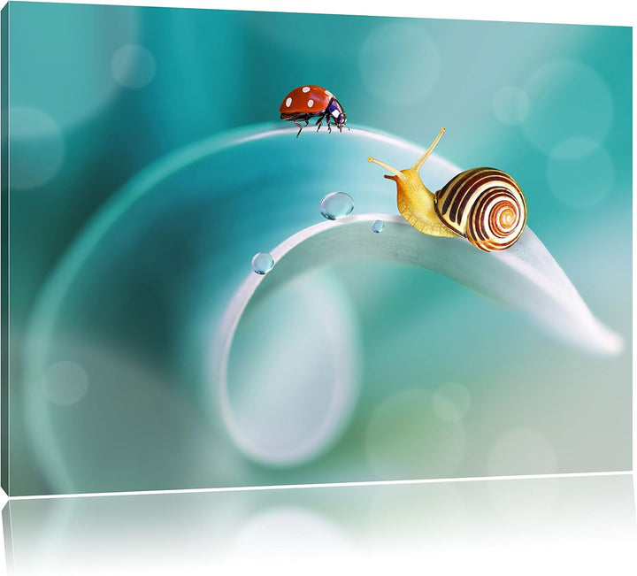 Pixxprint eine Schnecke und Marienkäfer als Leinwandbild/Grösse: 100x70 cm/Wandbild/Kunstdruck/ferti