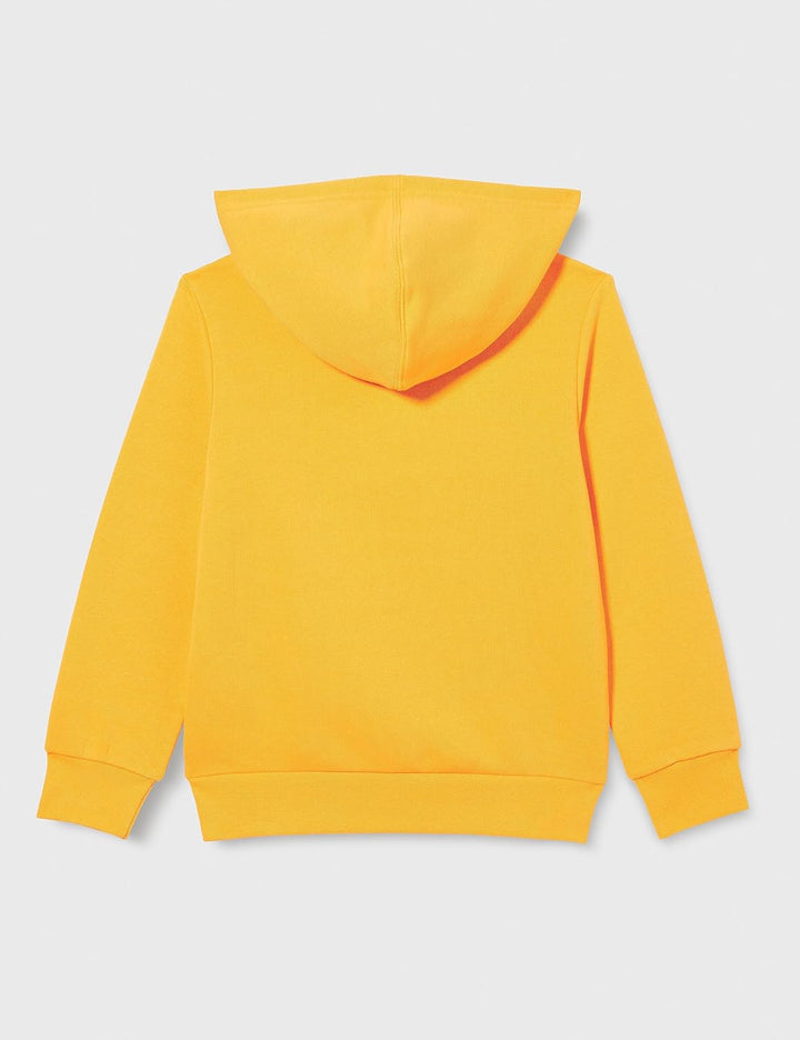 Champion Jungen Kapuzenpullover Legacy- Classic Logo 14 Jahre Gelb, 14 Jahre Gelb